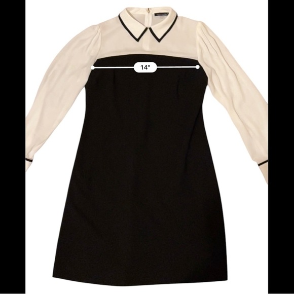 Tommy Hilfiger Point Collar A line Mini Dress - Picture 10 of 15
